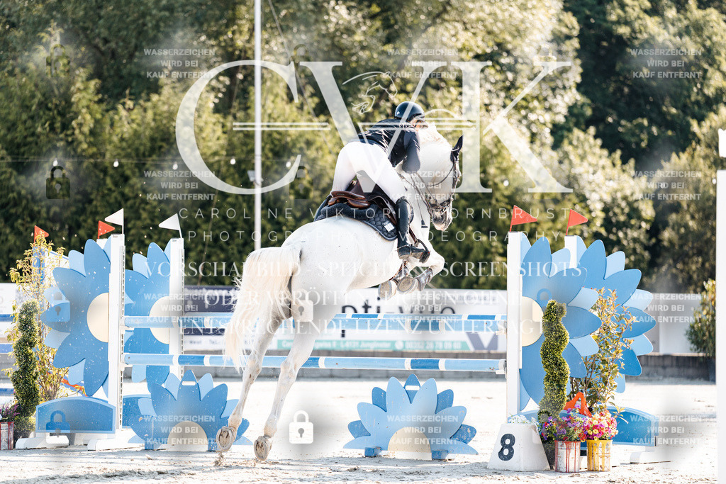 CK901590 | Turnierfotografie Pferdefotografie Trier Rheinland-Pfalz Pferdesport Reitsport Tierfotografie Sportfotografie Pferdevideo Pferdevideografie Equestrianvideography equestrianphotography  - Realisiert mit Pictrs.com