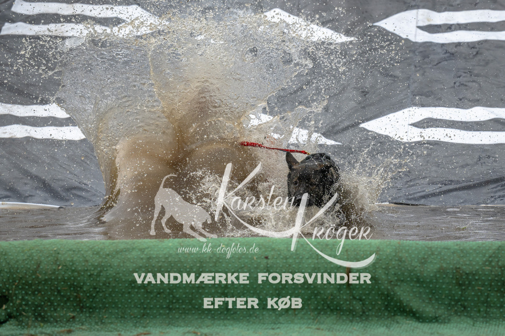 1605_ZZ92258 | kk-dogfotos