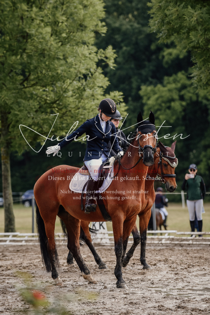 DSC_8450 | Pferde- und Turnierfotografie in Westsachsen. Pferdeportraits, Auftragszeichnungen und intuitive Kunst.