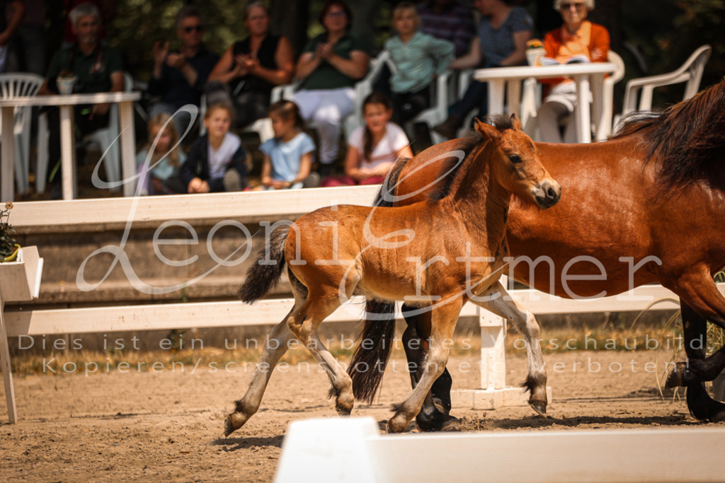 02.DoSR00129 | Leoni Ertmer Photography - Realisiert mit Pictrs.com