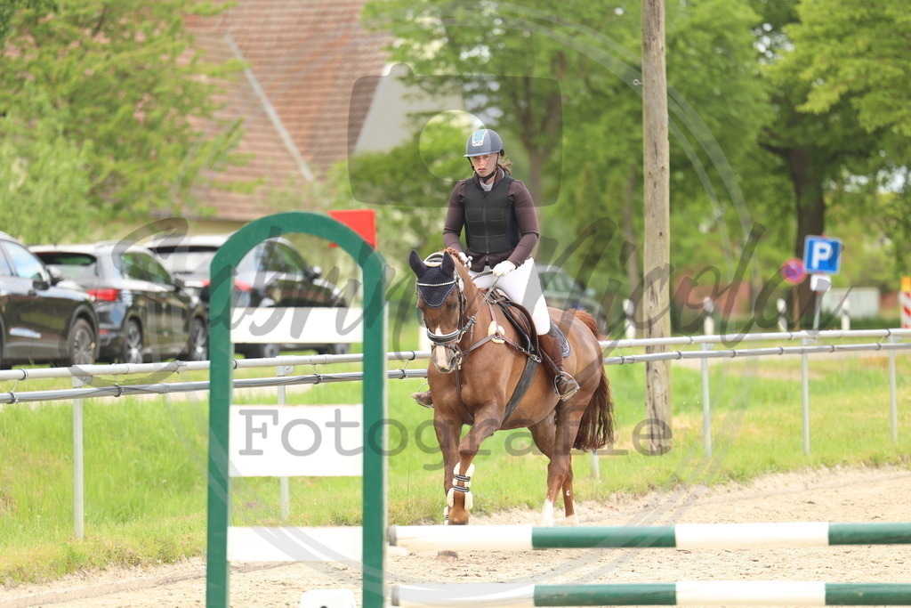 994A8701 | sabrinanicolaifotografie - Realisiert mit Pictrs.com