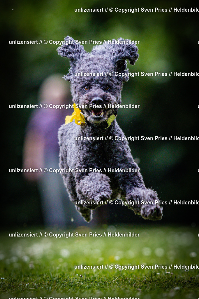 Sven Pries | 2025-05-29 - Pudelrennen KA-Durlach - Realisiert mit Pictrs.com