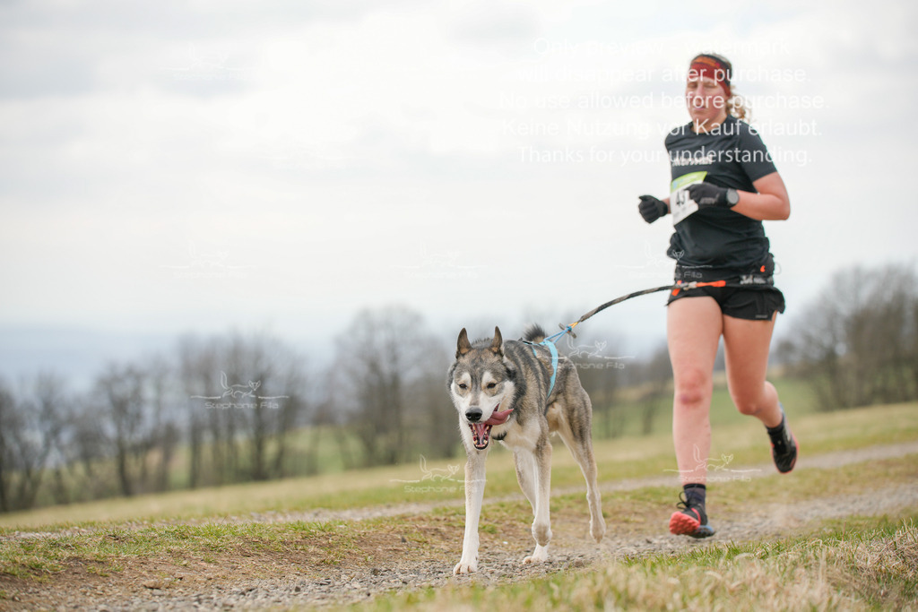 CaniXRunSA-175 | stephaniefillaphotographie - Realisiert mit Pictrs.com