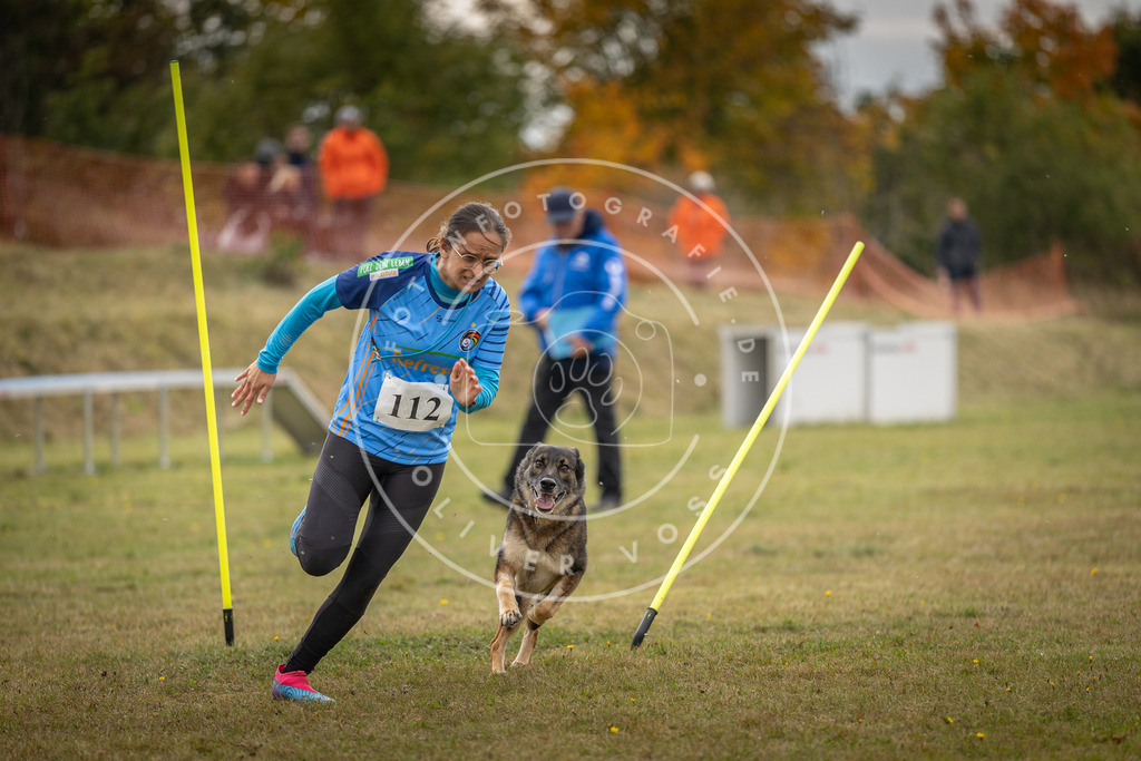Pfotenfotografie_DV3A6843 | Hundefotografie, Tierfotograf, Pfotenfotografie, Fotoshooting Hund, Hunde Portrait, Hundesport, Hundeportraits, Heideshooting, Hunde, Sportfotograf, Hundefotograf, Turnierhundsport, THS,  - Realisiert mit Pictrs.com