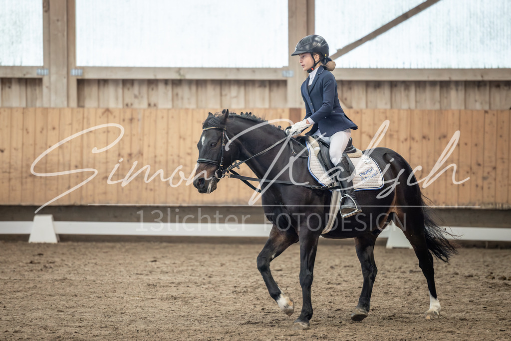 20251011-_3LI8402 | Tierfotografie Pferde, Hunde, Katzen, Haustiere.
Turnierfotografie Reitturniere, Reiten, Springreiten, Dressur in Hanau, dem Main-Kinzig-Kreis und dem Rhein-Main- Gebiet um Frankfurt