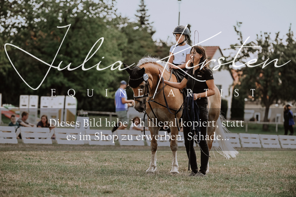 DSC_7721 | Pferde- und Turnierfotografie in Westsachsen. Pferdeportraits, Auftragszeichnungen und intuitive Kunst.