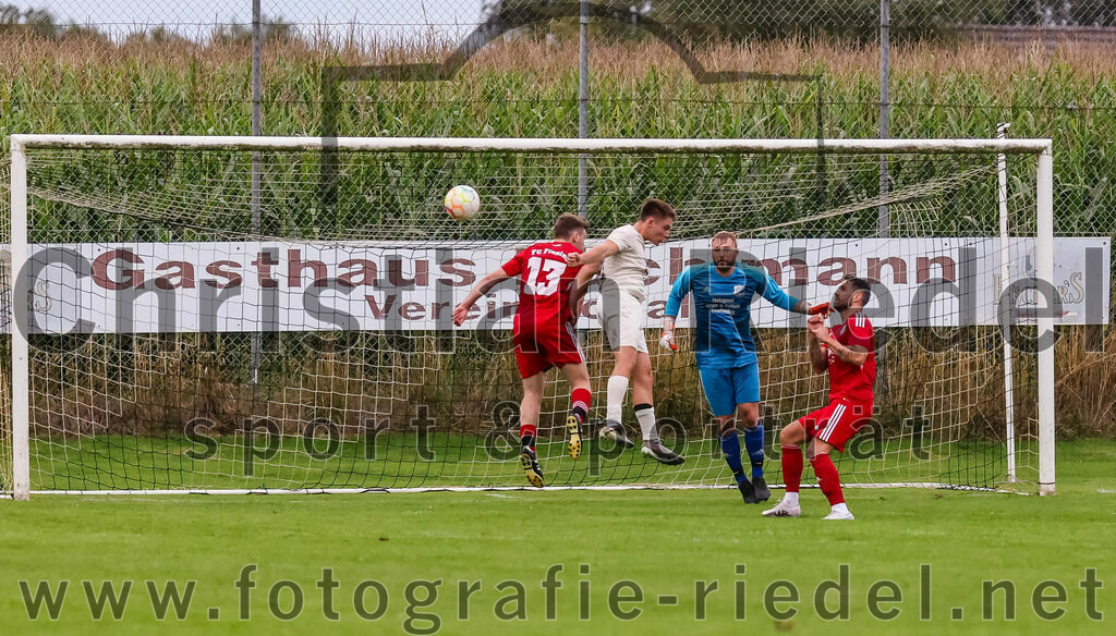 2023-08-04_098_SV_Walpertskirchen_gegen_FC_Finsing | Walpertskirchen, Deutschland, 04.08.2023:
Fußball, Kreisliga 2023 / 2024, 2. Spieltag, SV Walpertskirchen gegen FC Finsing, Endergebnis: 3:3

Patrick Forchhammer (FC Finsing, #13), Adrian Alexy (SV Walpertskirchen, #41), Torwart Daniel Schröder (FC Finsing, #1), Markus Rickhoff (FC Finsing, #7)

Foto: Christian Riedel / fotografie-riedel.net