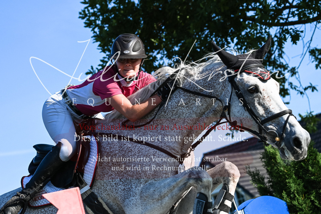 DSC_3031 | Pferde- und Turnierfotografie in Westsachsen. Pferdeportraits, Auftragszeichnungen und intuitive Kunst.