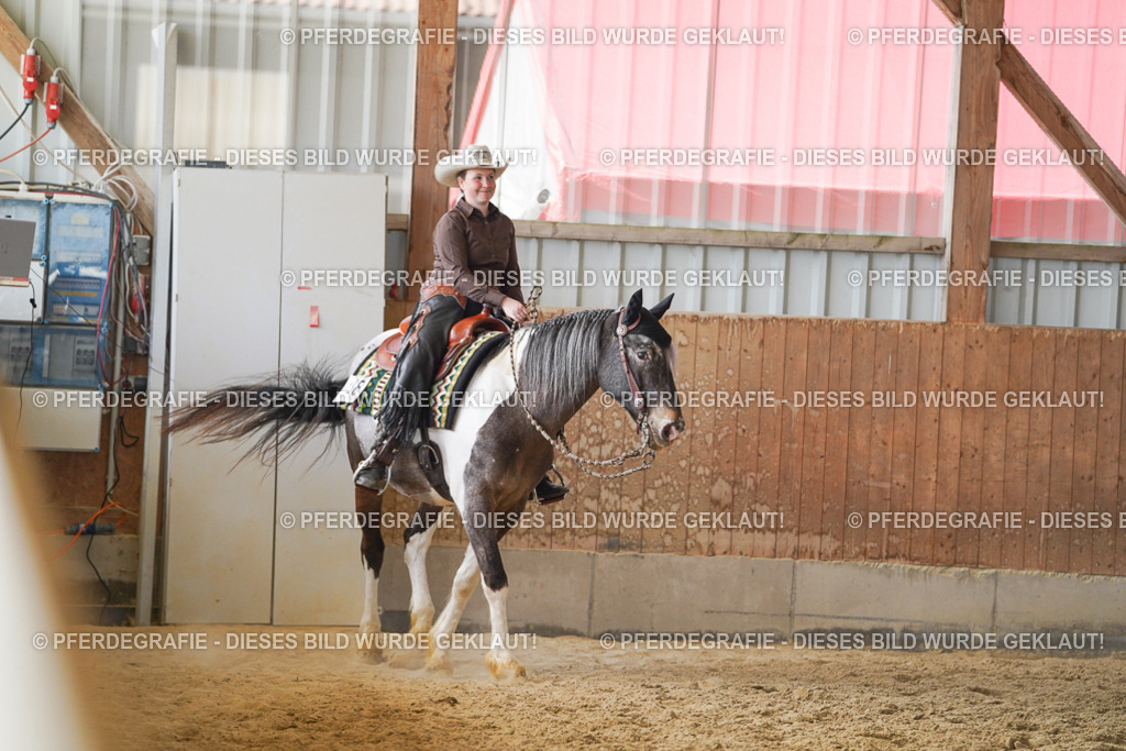 DSC02343 | Pferdegrafie