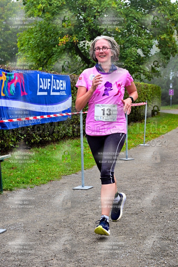 Z8N_2369 | la-psv - Realisiert mit Pictrs.com