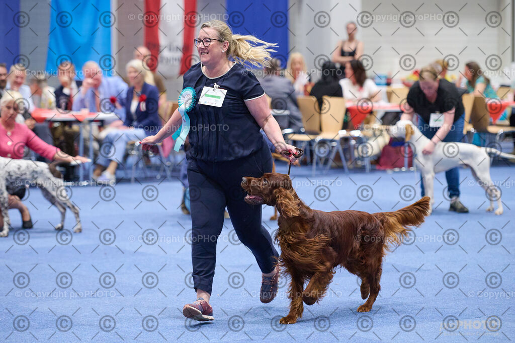 202406_ÖKV-IHA-Tulln24_DSC_3136 | proPHOTO - Realisiert mit Pictrs.com