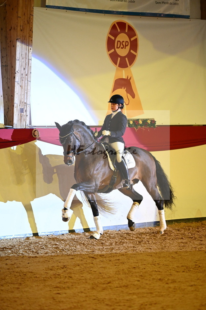 Vangelis_2242075 | hf-fotografie - Realisiert mit Pictrs.com