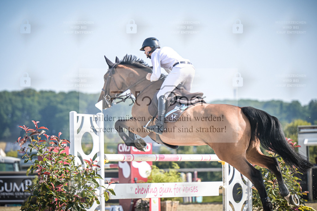 DOS_1840 | Entdecke hochwertige Reitturnierfotos von Foto Oger. Professionell, emotional und authentisch – jetzt Lieblingsmomente im Shop bestellen. - Realisiert mit Pictrs.com