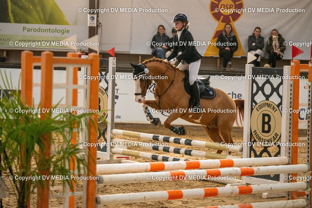 Kranichstein Tag 2-1079 | dv-media-shop - Realisiert mit Pictrs.com