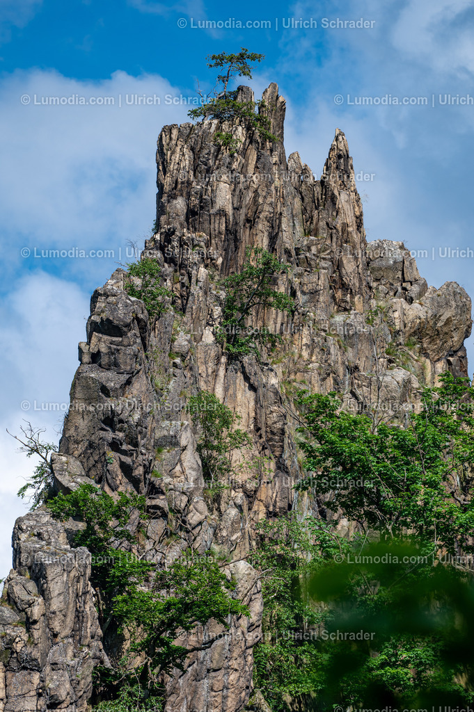 10049-13264 - Im Bodetal bei Thale | Stockfoto und Bilderpool mit Bildmaterial aus Deutschland, dem Harz, Halberstadt, Quedlinburg, Wernigerode und weltweit. Qualitativ hochwertige und professionelle Fotos anschauen und kaufen. - Realisiert mit Pictrs.com