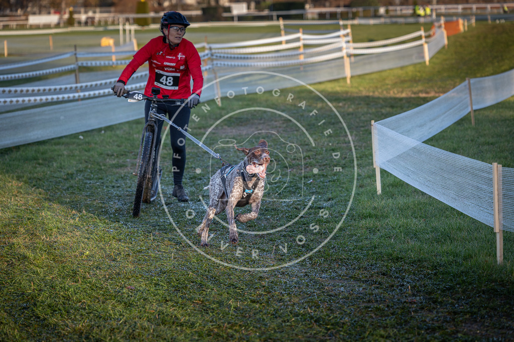 CaniXpix_0L8A2530 | Hundefotografie, Tierfotograf, Pfotenfotografie, Fotoshooting Hund, Hunde Portrait, Hundesport, Hundeportraits, Heideshooting, Hunde, Sportfotograf, Hundefotograf, Turnierhundsport, THS,  - Realisiert mit Pictrs.com