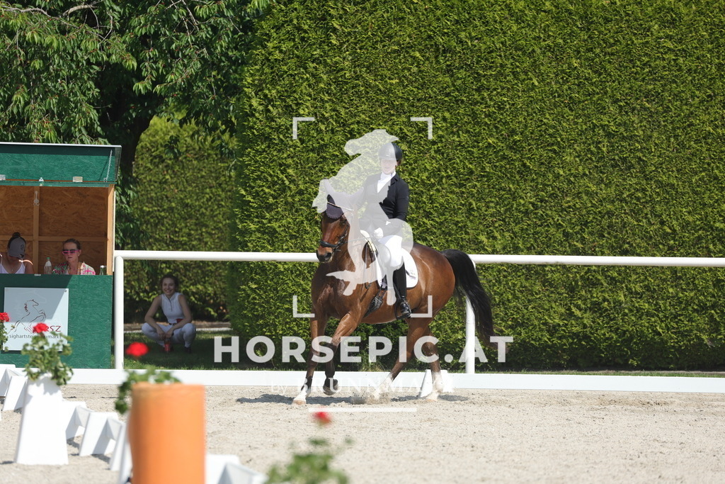 0P6A2850 | Willkommen bei Brunnmayr - Design & Fotografie – Ihrem Spezialisten für Reitturniere und Pferdeveranstaltungen in Oberösterreich, Salzburg und Bayern! Seit über 17 Jahren sind wir leidenschaftlich dabei.