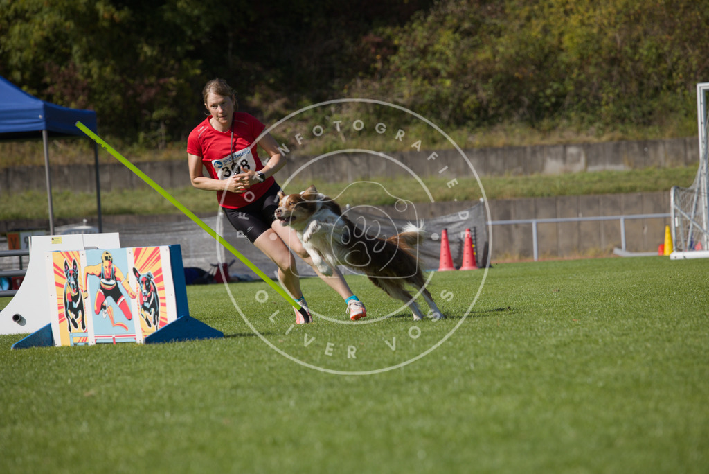 0L8A8778 | Hundefotografie, Tierfotograf, Pfotenfotografie, Fotoshooting Hund, Hunde Portrait, Hundesport, Hundeportraits, Heideshooting, Hunde, Sportfotograf, Hundefotograf, Turnierhundsport, THS,  - Realisiert mit Pictrs.com