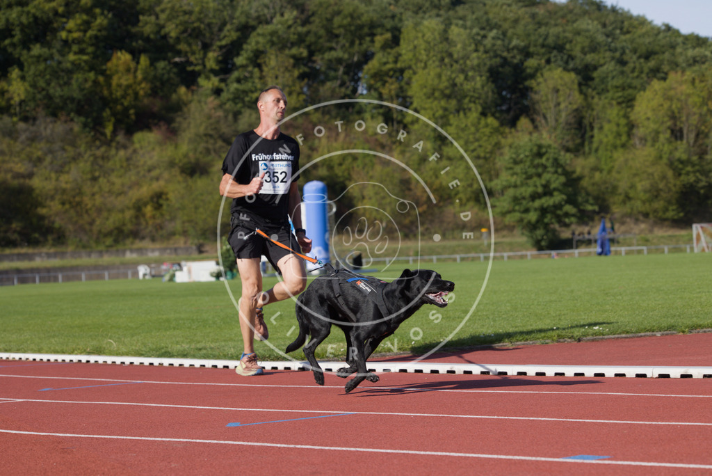 0L8A9935 | Hundefotografie, Tierfotograf, Pfotenfotografie, Fotoshooting Hund, Hunde Portrait, Hundesport, Hundeportraits, Heideshooting, Hunde, Sportfotograf, Hundefotograf, Turnierhundsport, THS,  - Realisiert mit Pictrs.com