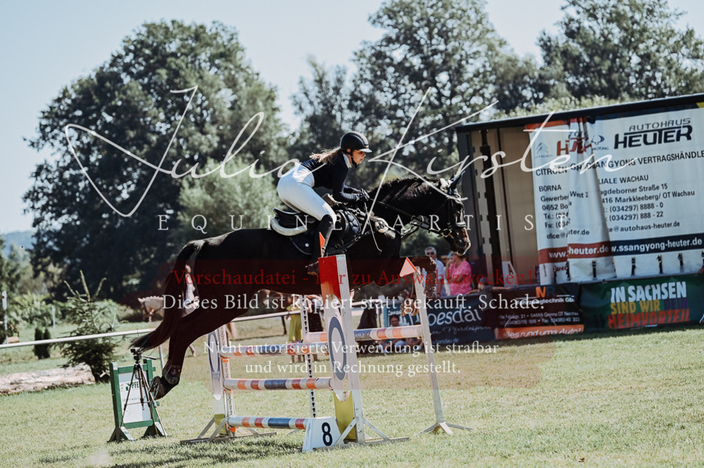 DSC_5776 | Pferde- und Turnierfotografie in Westsachsen. Pferdeportraits, Auftragszeichnungen und intuitive Kunst.