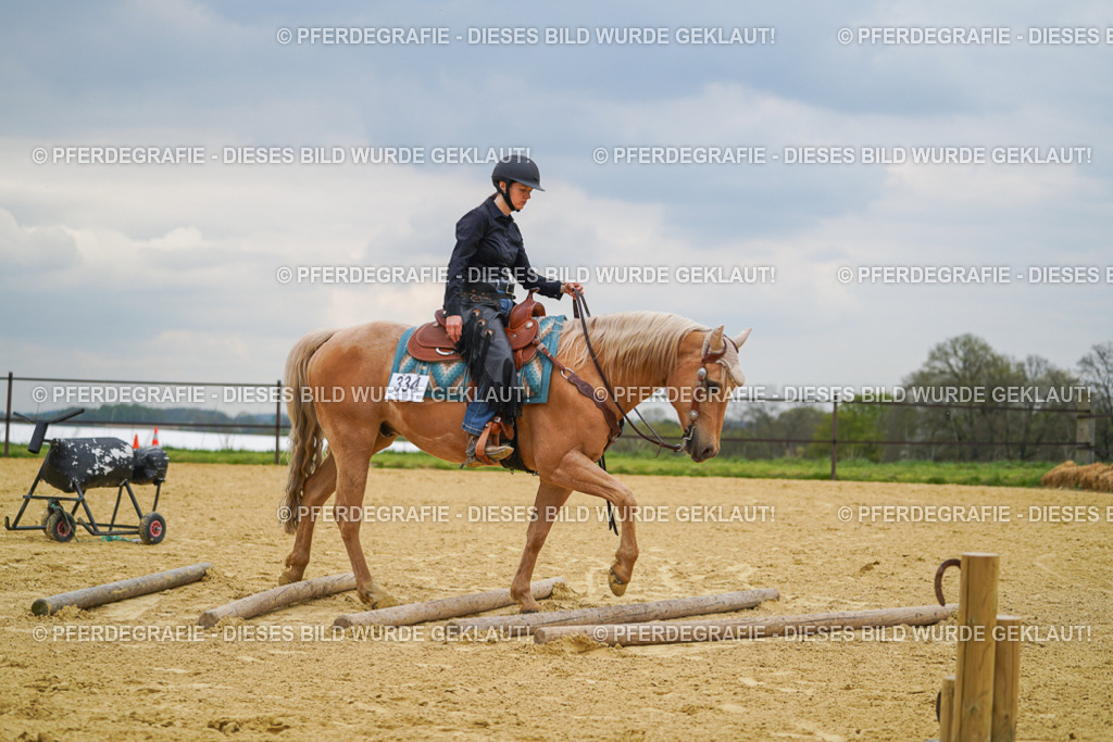 DSC07234 | Pferdegrafie