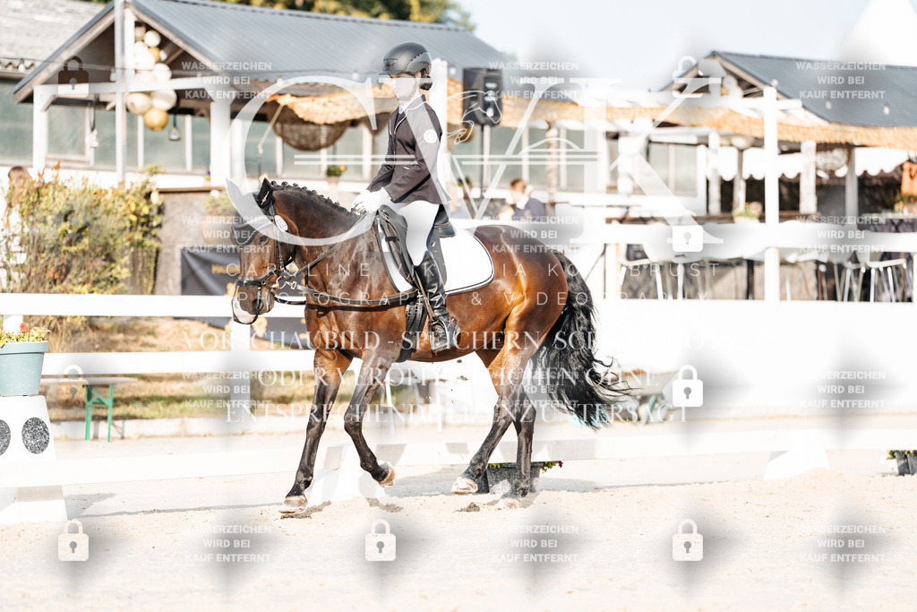 CK903848 | Turnierfotografie Pferdefotografie Trier Rheinland-Pfalz Pferdesport Reitsport Tierfotografie Sportfotografie Pferdevideo Pferdevideografie Equestrianvideography equestrianphotography  - Realisiert mit Pictrs.com