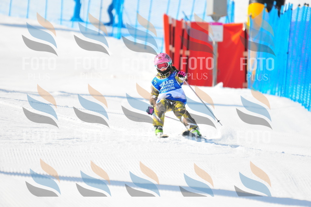 B9157 | holidayphoto