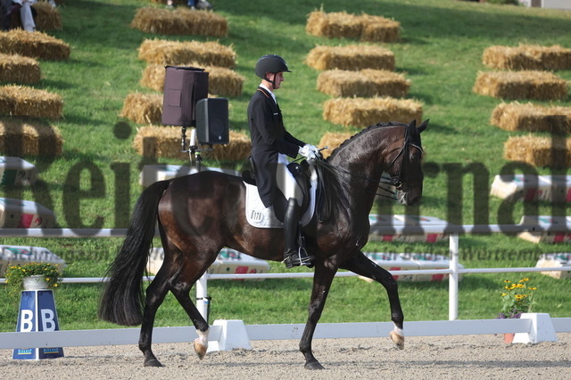 Birkhof_2024_Prfg.Nr.17_Intermediare II_Paul Löcher_Soul Men  (8) | Alle Fotos der Reiterjournal Fotografin Doris Matthaes im Reiterjournal Online-Fotoshop. - Realizado com Pictrs.com