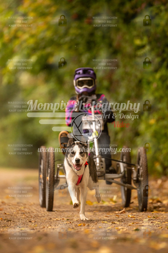 CDLBDB_14_10_2023_Samedi-225 | PayLife