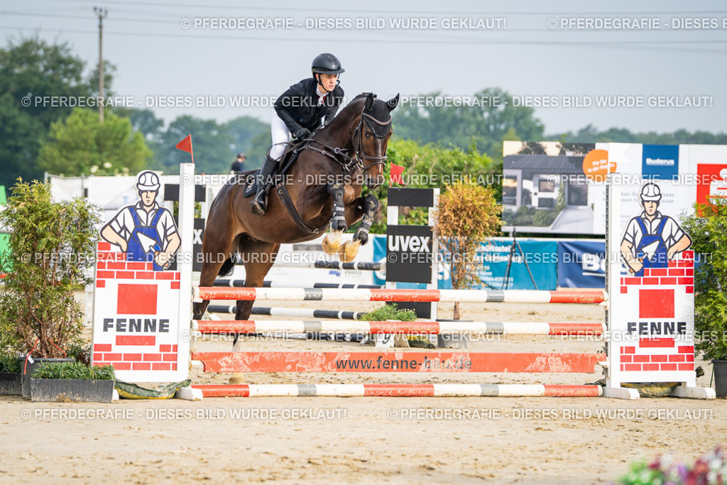 DSC08242 | Pferdegrafie