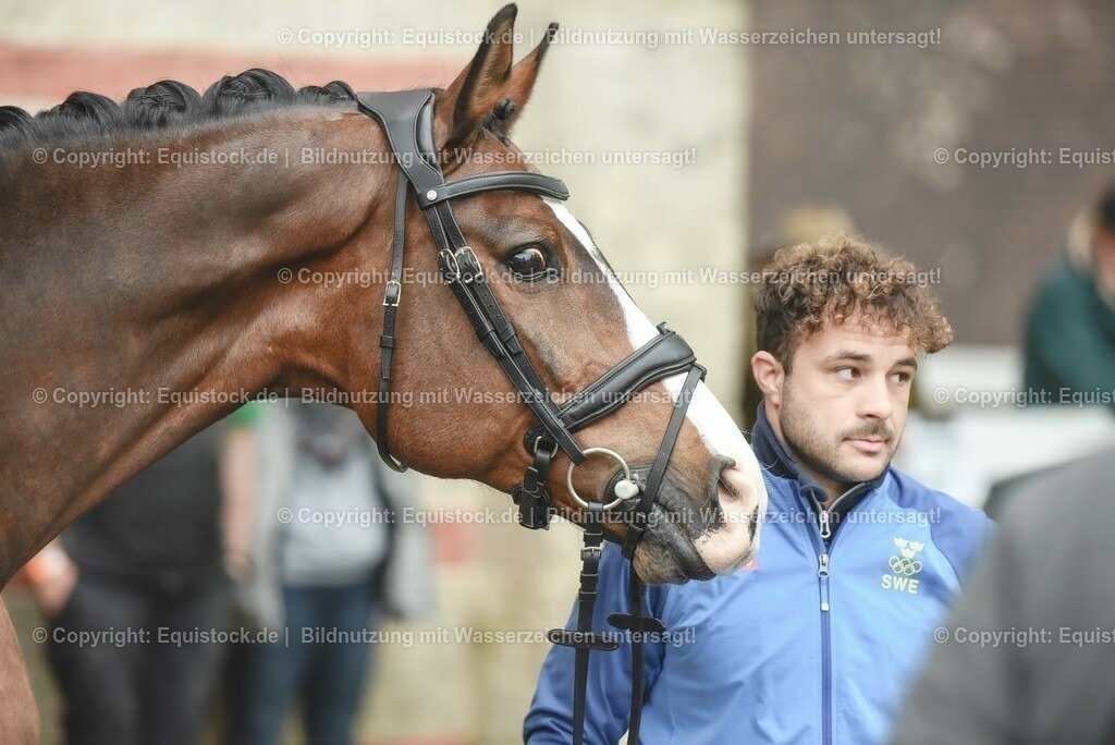 20230514_Impressionen_0157 | equistock