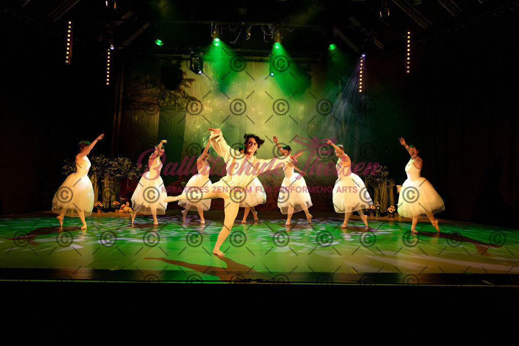 Ballettaufführung-213 | Bildershop Lem'n Entertainment - Realisiert mit Pictrs.com