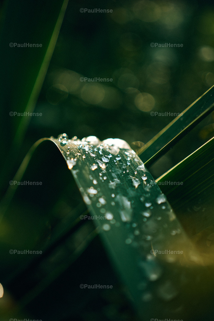 20221020_PaulHense_S0023_DSC00068 | paulhense - Realisiert mit Pictrs.com