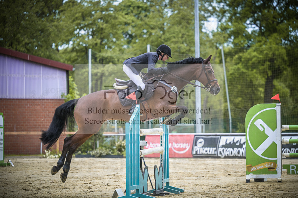 DOS_9969 | Entdecke hochwertige Reitturnierfotos von Foto Oger. Professionell, emotional und authentisch – jetzt Lieblingsmomente im Shop bestellen.Deutschlandweite Turnierfotografie. - Realisiert mit Pictrs.com
