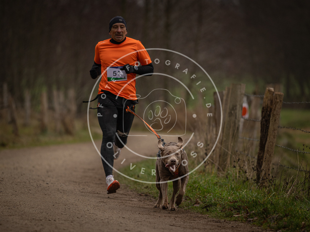 Pfotenfotografie_DV3A2854 | Hundefotografie, Tierfotograf, Pfotenfotografie, Fotoshooting Hund, Hunde Portrait, Hundesport, Hundeportraits, Heideshooting, Hunde, Sportfotograf, Hundefotograf, Turnierhundsport, THS,  - Realisiert mit Pictrs.com