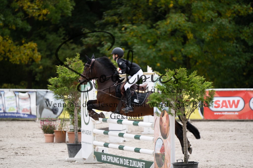 A7V00483 | Pferdefotograf