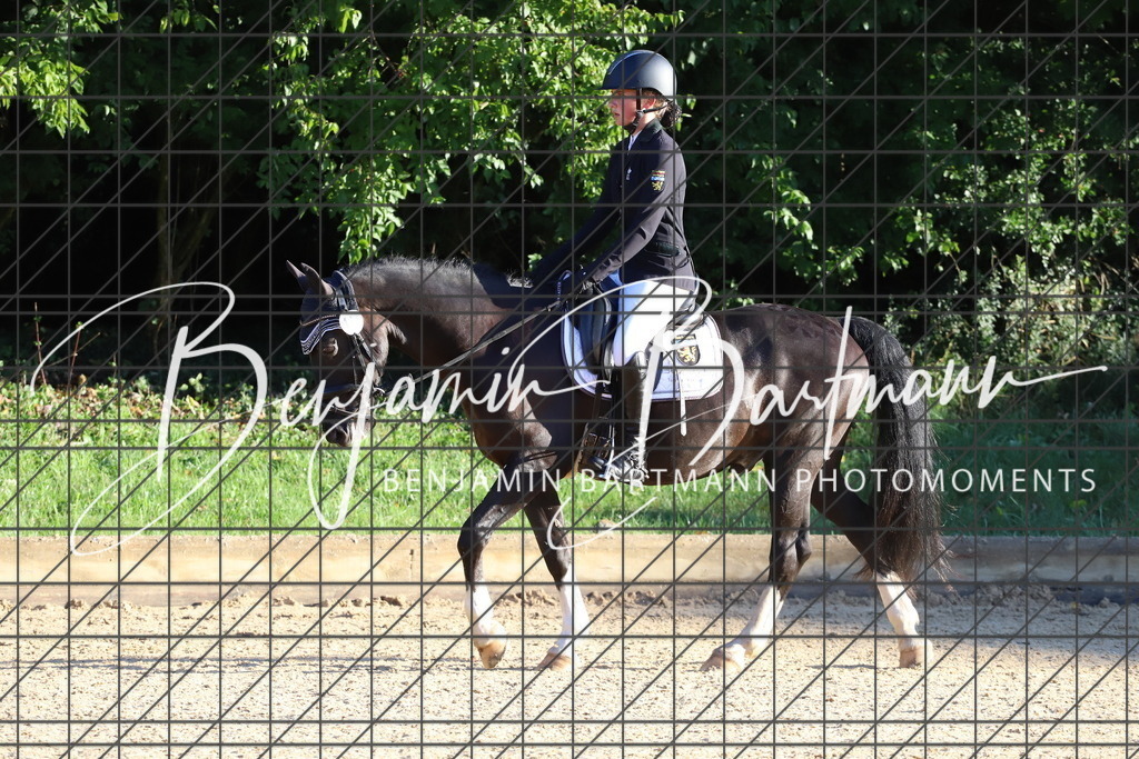 IMG_4520 | Benjamin Bartmann Photomoments