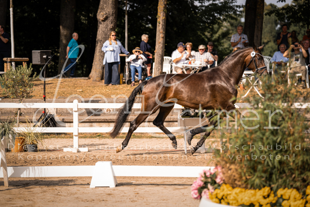 FrER00177 | Leoni Ertmer Photography - Realisiert mit Pictrs.com