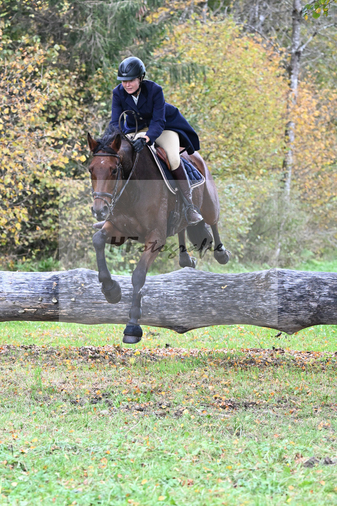 41240728 | hf-fotografie - Realisiert mit Pictrs.com