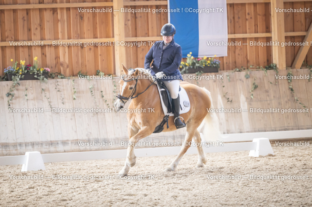 _D5A2480 | Emotionale Pferde- & People-Fotografie rund um Heidelberg, Leimen & Umgebung. Natürliche Fotos von Pferd, Mensch & Familie. Jetzt Termin sichern!