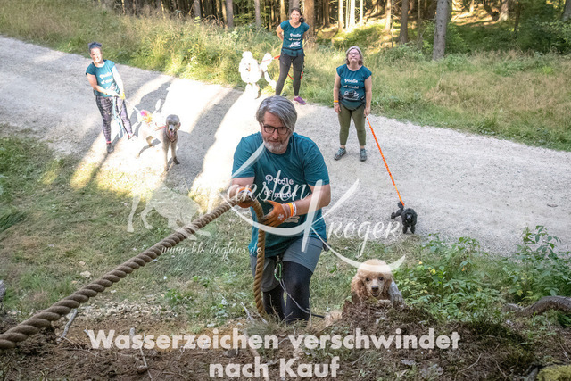 1013_ZZ90297 | kk-dogfotos