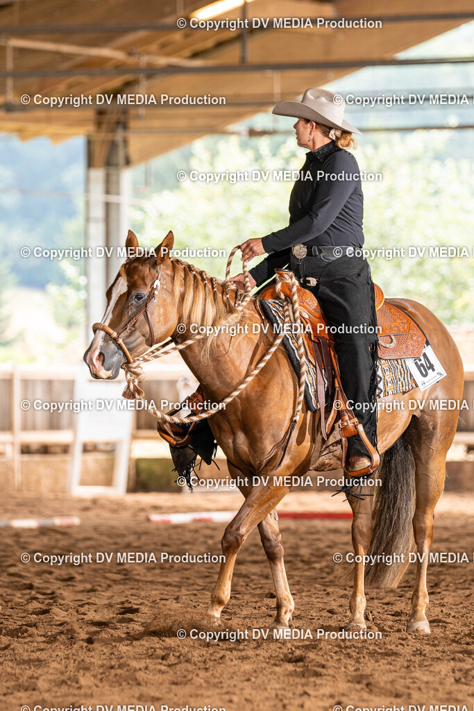 Erbach Tag 1-281 | dv-media-shop - Realisiert mit Pictrs.com