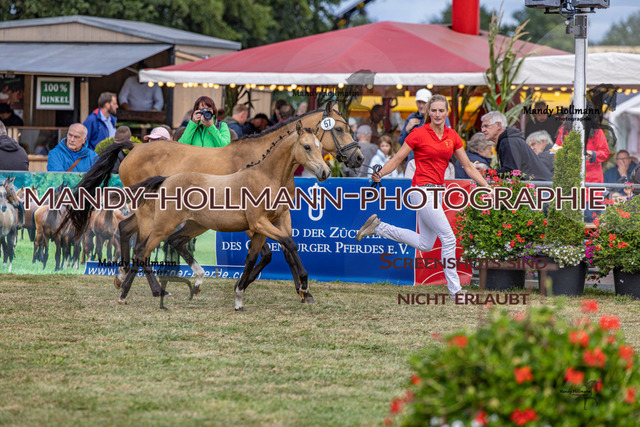 LTN 2 (887 von 1981) | mandyhollmannphotographie