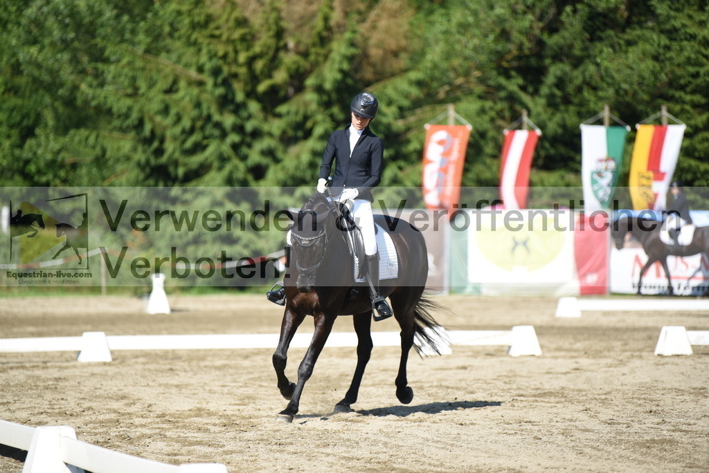 DSC_7368 | equestrian-live-com
