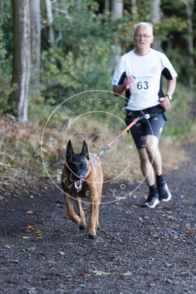 0L8A1887 | Hundefotografie, Tierfotograf, Pfotenfotografie, Fotoshooting Hund, Hunde Portrait, Hundesport, Hundeportraits, Heideshooting, Hunde, Sportfotograf, Hundefotograf, Turnierhundsport, THS,  - Realisiert mit Pictrs.com