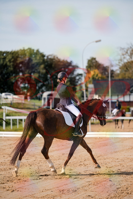 2026_10_03_Siefer-Hof_114802_Z63_27795035 | Professionelle Reitsport-, Turnier- und Eventfotografie von Robert Broda. Galerien mit ausgewählten und bearbeiteten Bildern direkt online ansehen und bestellen.