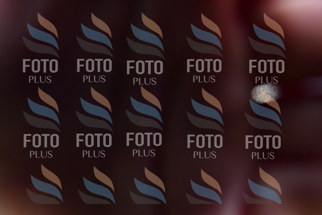 _DSC3864 | holidayphoto