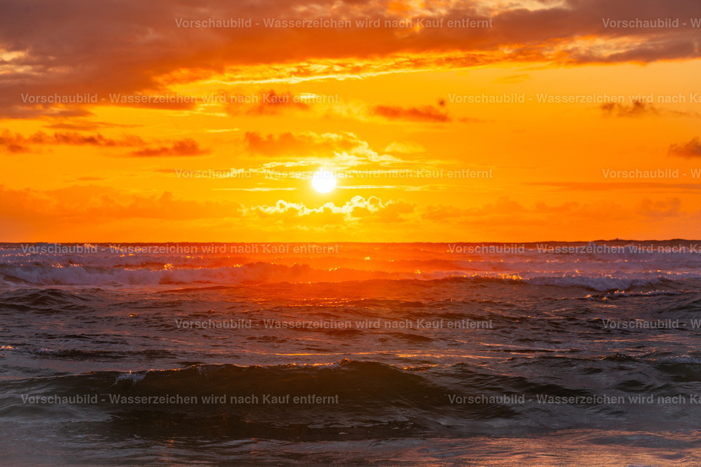 DSC02031 | marcuslinek