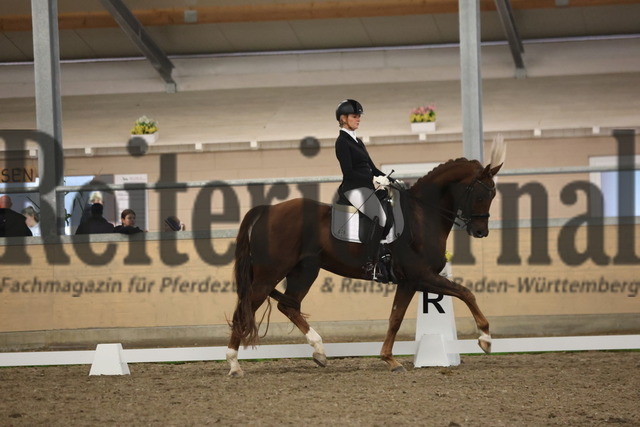 Waghäusel-Wiesental_2024_Prfg.Nr.08_1.WP_U25_Nizia Pötter_Max van de Fohlenhof (4) | Alle Fotos der Reiterjournal Fotografin Doris Matthaes im Reiterjournal Online-Fotoshop. - Realisiert mit Pictrs.com