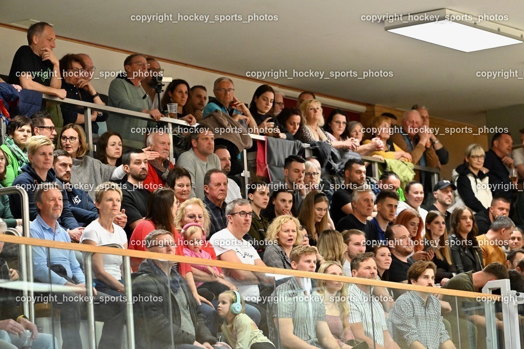 SC Ferlach vs. HSG Bärnbach/Köflach 30.3.2024 | Besucher Ballspielhalle Ferlach, SC Ferlach Fans, SC Ferlach vs. HSG Bärnbach/Köflach 30.3.2024, SC Ferlach vs. HSG Bärnbach/Köflach am 30.03.2024 in Ferlach (Ballspielhalle Ferlach), Austria, (Photo by Bernd Stefan)